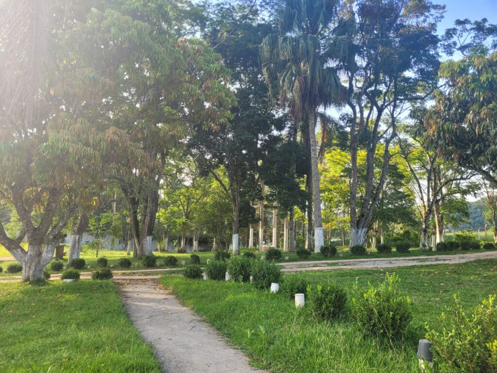 WhatsApp Image 2025-03-20 at 10.03.53